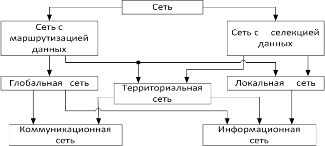 Селекция бд пример. Селекция данных. Научные основы селекции. Селекция в животноводстве. Схема метода селекции животных.