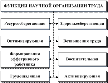 Функции научной организации труда. Стиль работы и рациональная организация труда. Одной из функций организации труда является:. Основные задачи научной организации труда:. Курсовая организация труда предприятии